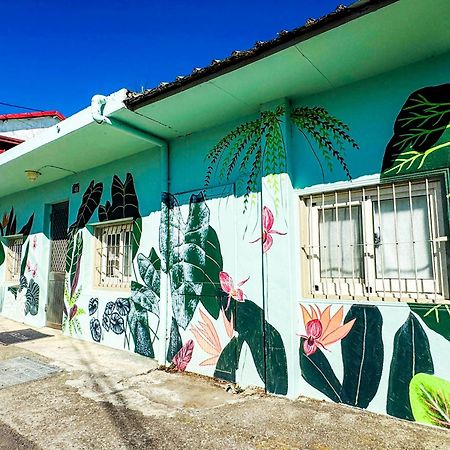 31 Homestay Renai Luaran gambar